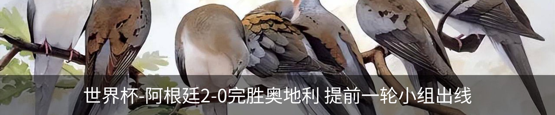 资讯动态